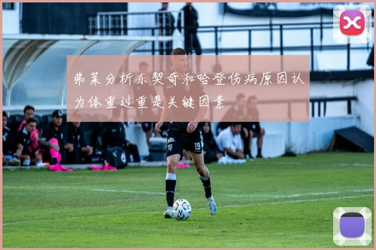 弗莱分析东契奇和哈登伤病原因认为体重过重是关键因素