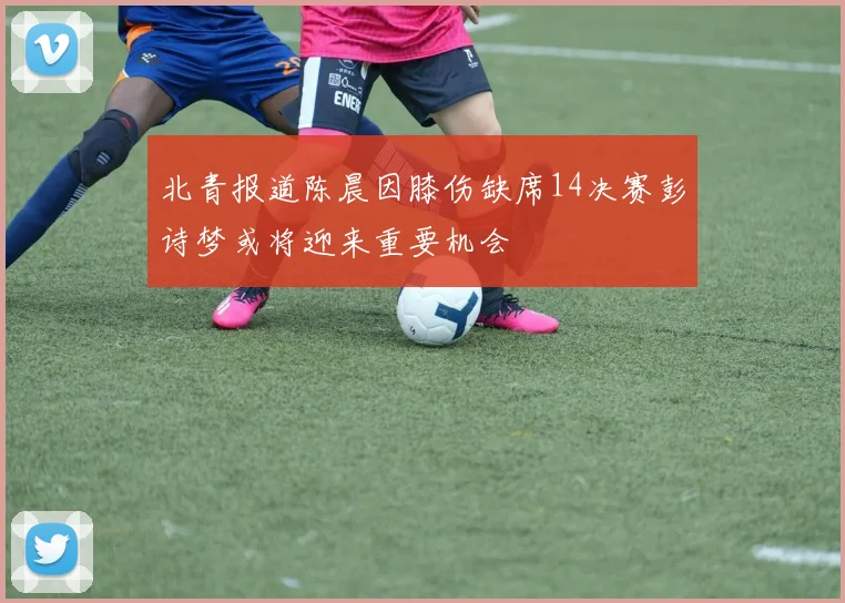 北青报道陈晨因膝伤缺席14决赛彭诗梦或将迎来重要机会